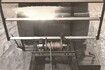 Photo tap1875