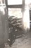 Photo tap1879
