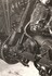 Photo tcp1899