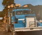 Photo tcp1950