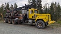 Photo tcp2273
