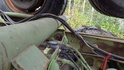 Photo tcp2286