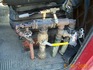 Photo tcp2302